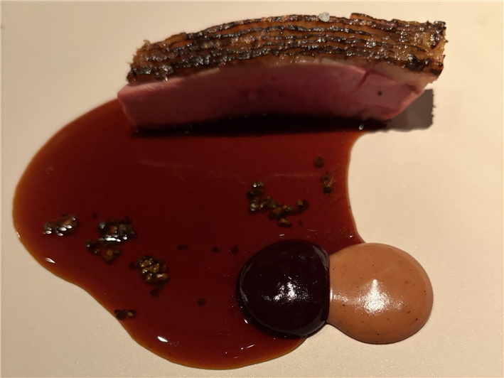 duck with sauce